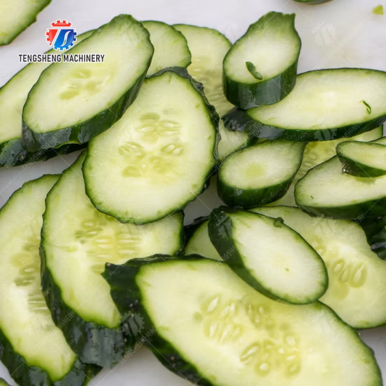 Automatic Vegetable Cutting Slicing Onion Chopper Food Processing Machine (TS-Q112A)