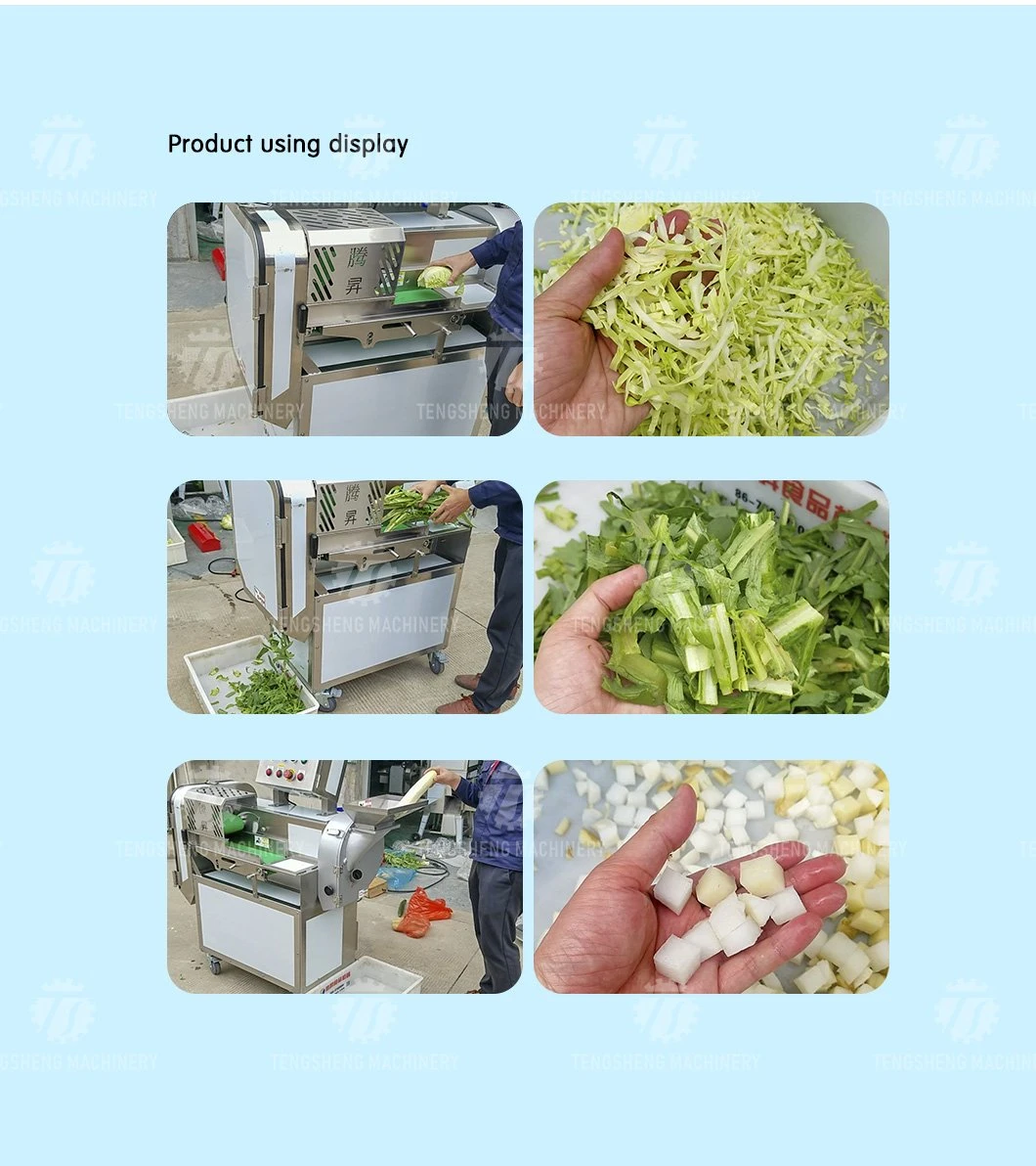 Vegetable and Fruit Electric Cutting Machine Commercial Fruit Cutting Machine Food Machine Processing Machinery