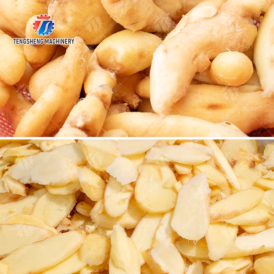 Machine automatique de traitement des aliments du broyeur d'oignons de découpage en tranches de légumes (TS-Q112A)