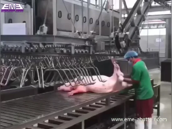 Machine d'abattoir d'étourdissement et de mise à mort de porc personnalisée Eme avec équipement d'abattage pour machine de traitement de viande d'abattoir